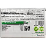 Serenox retard комплекс для нормалізації сну та повноцінного відпочинку No20 Нутріфарм, фото 3