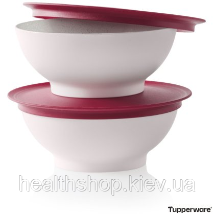 Чаша «Алегро» (275мл), 2 шт. Tupperware