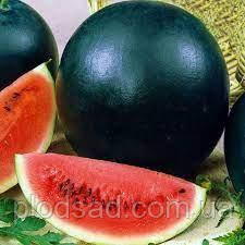 Насіння Кавун Вогник 10 г, SeedEra