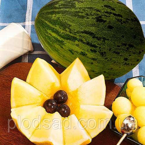 Насіння Диня Валенсія 2 г, Seedera