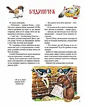 Ліс чудес. Ілюстрації Тоні Вульфа, фото 8