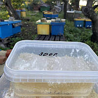 2025 р Стільники (соти) меду Липи на вагу порізані 300 грам