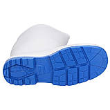 Чоботи гумові Dunlop Acifort Classic+ для харчової промисловості (розмір 36), фото 6