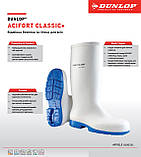 Чоботи гумові Dunlop Acifort Classic+ для харчової промисловості (розмір 36), фото 8