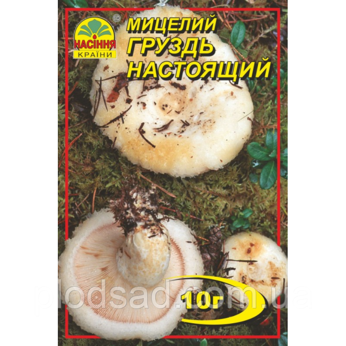 Міцеля зернова гриб Грузд справжній, 10 г