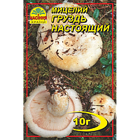 Міцеля зернова гриб Грузд справжній, 10 г