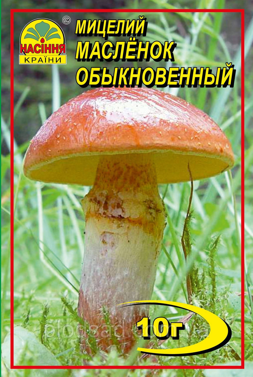 Міцеля зернова гриб Олійка звичайний, 10 г