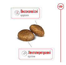 Сухий корм для собак ROYAL CANIN MAXI ADULT для великих порід 15 кг, фото 3