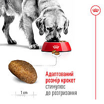 Сухий корм для собак ROYAL CANIN MAXI ADULT для великих порід 15 кг, фото 5