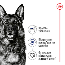 Сухий корм для собак ROYAL CANIN MAXI ADULT 5+ для великих порід старших 5 років 15 кг, фото 5