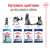 Сухий корм для собак ROYAL CANIN MAXI ADULT для великих порід 15 кг, фото 6