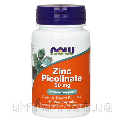 Оригінал! Вітамінно-мінеральний комплекс Now Foods Цинк Пиколинат, Zinc Picolinate, 50 мг, 60 вегетаріанських к (NF1550) - Вища, фото 1