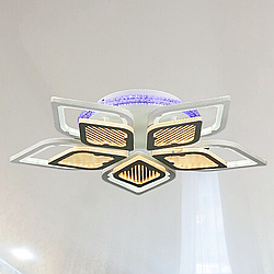 Люстра пелюстки у спальню Splendid Ray 192W до 30 кв.м колір  LK29051/5+1 LED (WT+GREY)