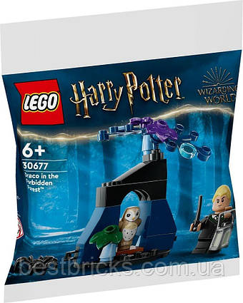 Конструктор Lego Harry Potter Драко в Забороненому лісі 30677
