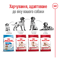 Сухий корм для собак ROYAL CANIN MEDIUM ADULT для середніх порід 15 кг, фото 6