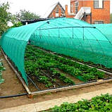 Сітка затіняюча на метраж 60% 2м ширина, фото 4