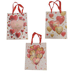 210 S-4 Пакет подарунковий 18*23*8,5 см, 4 кольори