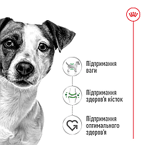 Сухий корм для собак ROYAL CANIN MINI ADULT для малих порід 8 кг, фото 4