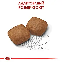 Сухий корм для собак ROYAL CANIN GIANT JUNIOR для гігантських порід молодих 15 кг, фото 6