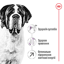 Сухий корм для собак ROYAL CANIN GIANT ADULT для гігантських порід 15 кг, фото 3