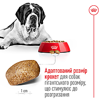 Сухий корм для собак ROYAL CANIN GIANT ADULT для гігантських порід 15 кг, фото 5