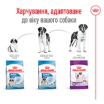 Сухий корм для собак ROYAL CANIN GIANT ADULT для гігантських порід 15 кг, фото 6