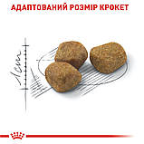 Royal Canin CAT Indoor 7+ для котів від 7 років, які проживають у приміщенні 1,5кг, фото 3