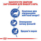 Royal Canin CAT Indoor 7+ для котів від 7 років, які проживають у приміщенні 1,5кг, фото 5