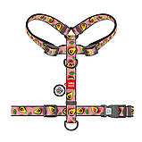 Шлея H-подібна WAUDOG Nylon Авокадо на рожевому, з QR-паспортом, пластиковий фастекс, S 15мм 320-4051, фото 6