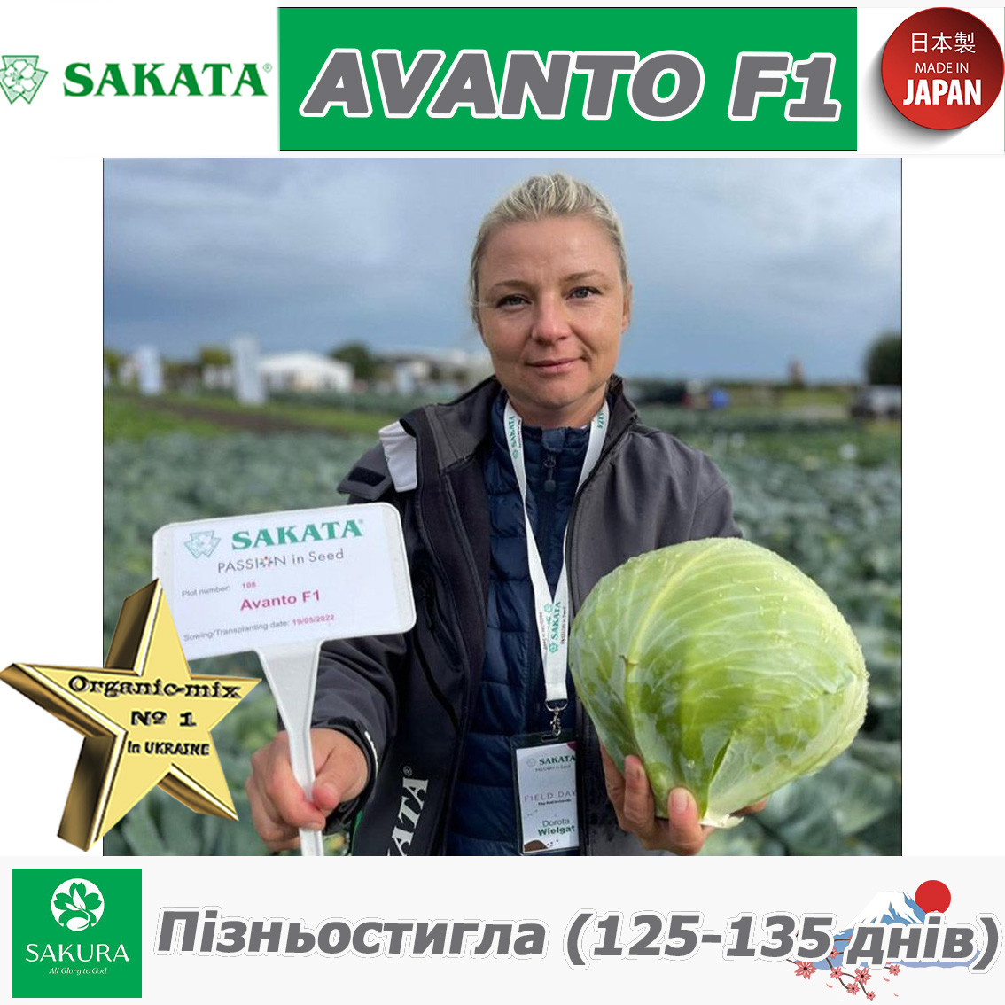 Пізньостигла капуста АВАНТО F1 / AVANTO F1, ТМ Sakata (Японія), 1000 насінин