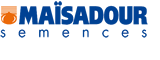 MAISADOUR SEMENCES - ЄВРОПЕЙСЬКА ЯКІСТЬ ЗА ОПТИМАЛЬНОЮ ЦІНОЮ В УКРАЇНІ.
