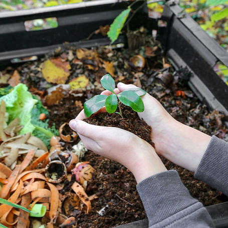 Біодеструктори