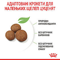 Сухий корм для цуценят ROYAL CANIN MAXI PUPPY для великих порід 15 кг, фото 6