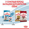 ROYAL CANIN MEDIUM PUPPY сухий корм для цуценят середніх порід 1 кг, фото 7
