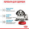 ROYAL CANIN MEDIUM PUPPY сухий корм для цуценят середніх порід 1 кг, фото 8