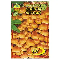 Міцеля зернова гриба Опінок літній 10 г