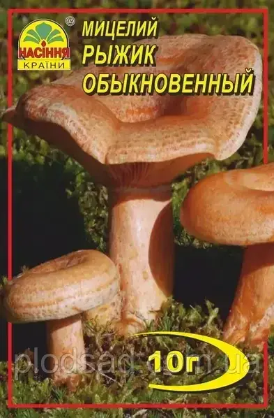 Міцеля зернова гриб Рижик 10 г