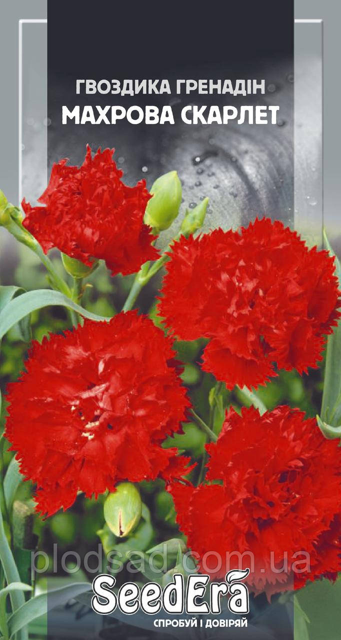 Насіння Гвоздика Садова Гренадин махрове Скарлет дворічна 0.2 г, SeedEra