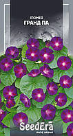 Насіння Іпомея Фіолетова Гранд Па 0.5 г, Seedera