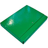 Папка-короб на липучці АКАДЕМІЯ, картонна, А4, 40 мм, PP-покриття, фото 9