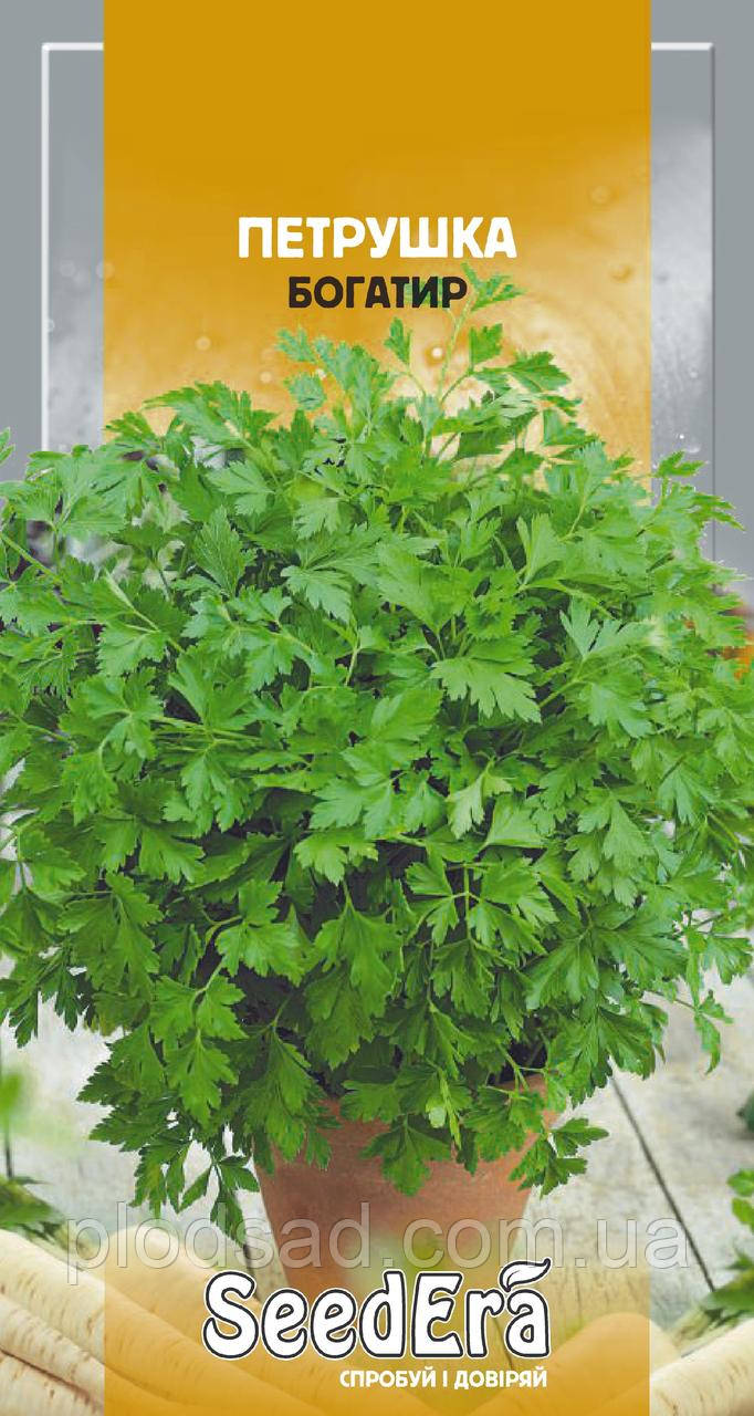 Насіння Петрушка листова Богтир 2 г, Seedera