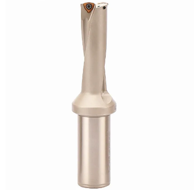 Свердло зі  змінними твердосплавними пластинами WC16-51 C25 3D, фото 1