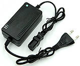 Опрыскиватель аккумуляторный Bass Polska BP-8610, фото 6