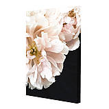 Набір постерів Riviera Blanca Ясно-білі півонії (PS-008) 3 шт в наборі, фото 4