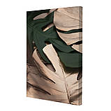 Набір постерів Riviera Blanca Монстера (PS-037) 3 шт в наборі, фото 4