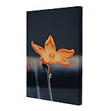 Набір постерів Riviera Blanca Дикий квіт (PS-055) 3 шт в наборі, фото 4