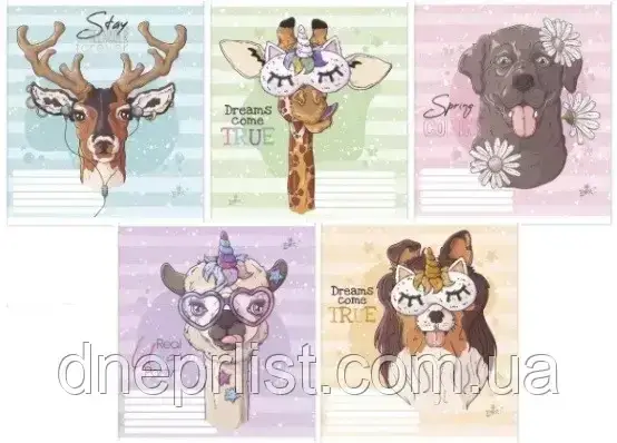 Зошит 12 аркушів клітинка "Бріск"/ Мілота, фото 1