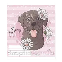 Зошит 12 аркушів клітинка "Бріск"/ Мілота, фото 4