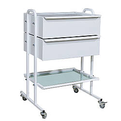 Столик маніпуляційний СМ-3-2 (старого зразка), Заповіт