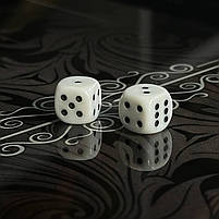 Нарди скляні в алюмінієвому корпусі Роза Вітрів 61×27×5см, фото 6